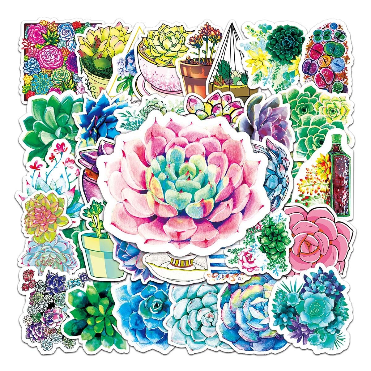 Set of 50 Succulent Graffiti Stickers — Fresh & Cute DIY Decals for Notebooks, Skateboards, Water Bottles, and Luggage